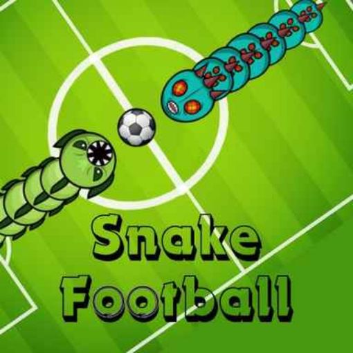 Picture of Snake Football